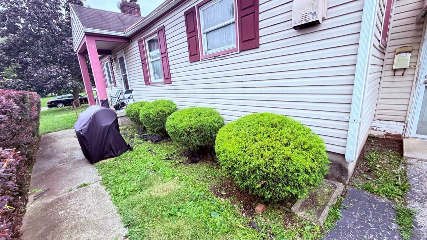 Bare dirt under shrubs before mulch installation along a home's foundation