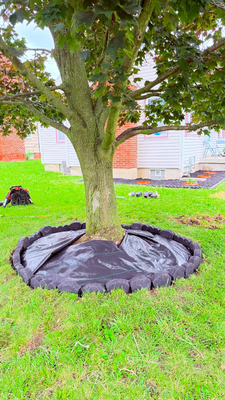Tree ring installation with stone edging and weed control barrier